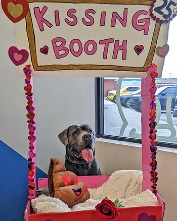 Woodbridge Animal Hospital Valentine's Day Event 01