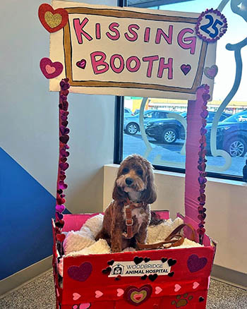 Woodbridge Animal Hospital Valentine's Day Event 02