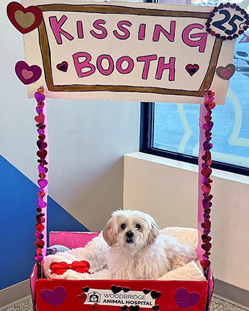 Woodbridge Animal Hospital Valentine's Day Event 03