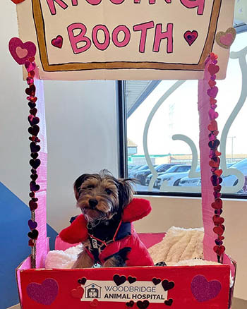 Woodbridge Animal Hospital Valentine's Day Event 04