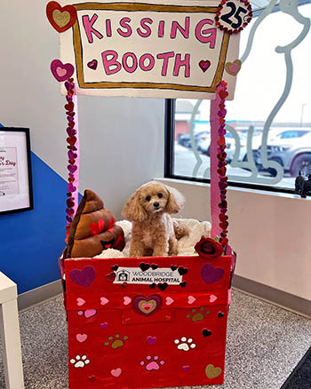 Woodbridge Animal Hospital Valentine's Day Event 06