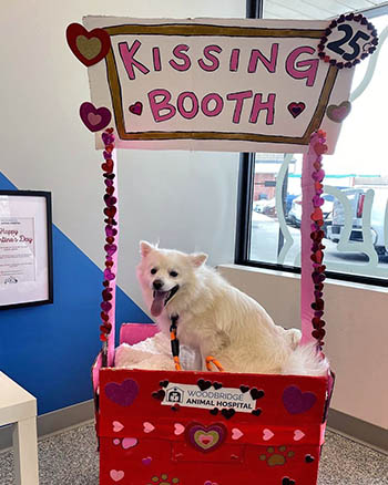 Woodbridge Animal Hospital Valentine's Day Event 07